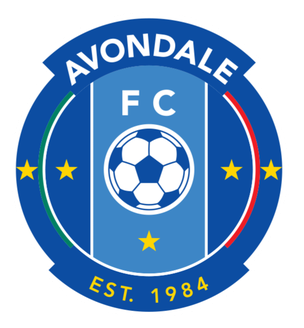 avondale-fc